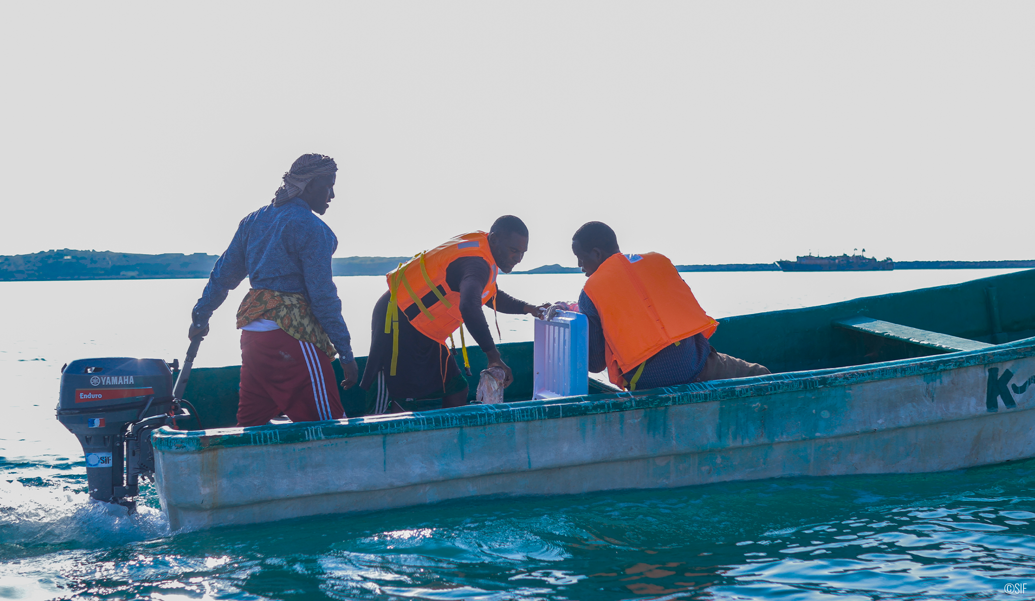 Aide humanitaire et développement